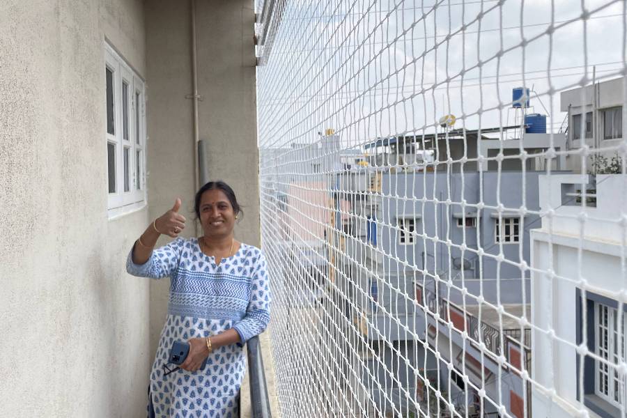 Pigeon Protetion Netting Near Me in Bangalore