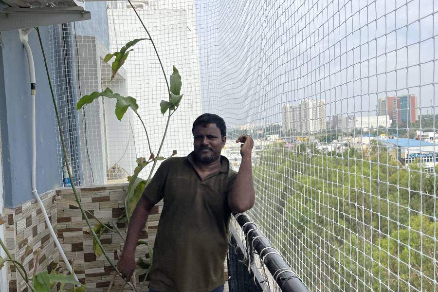 Balcony Pigeon Safety Nets Price in Bangalore